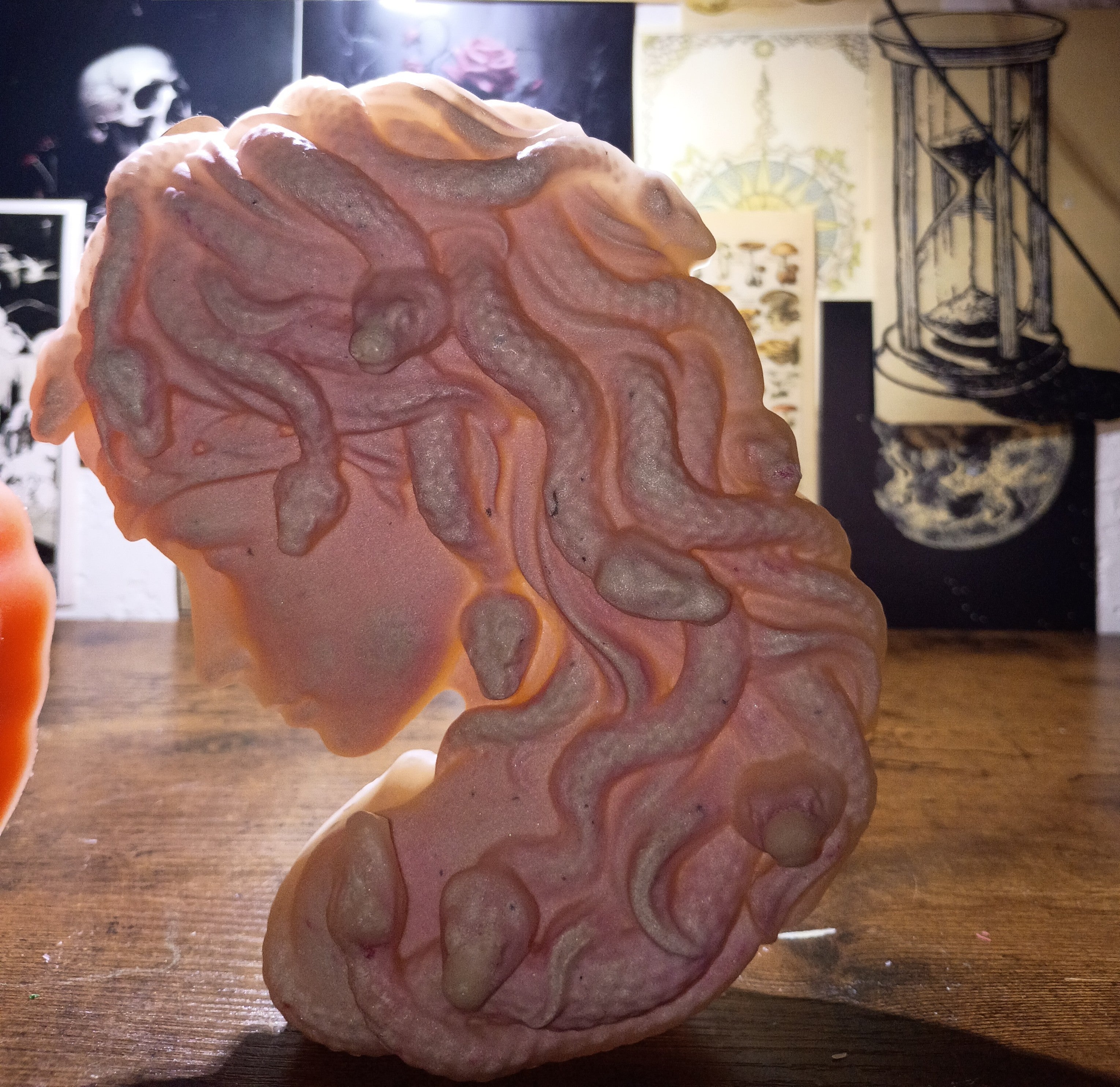 Medusa candles