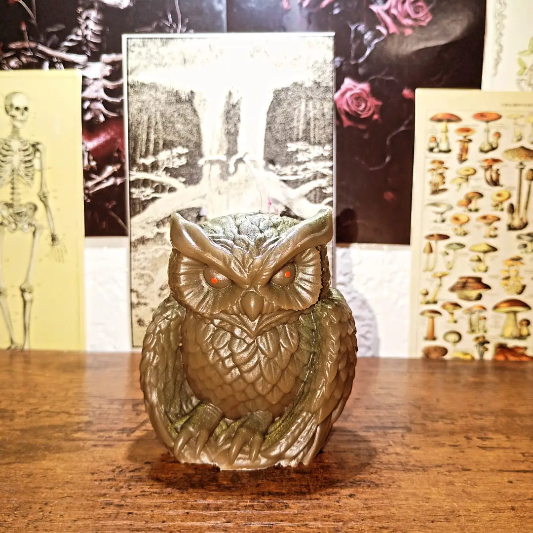 owl candles