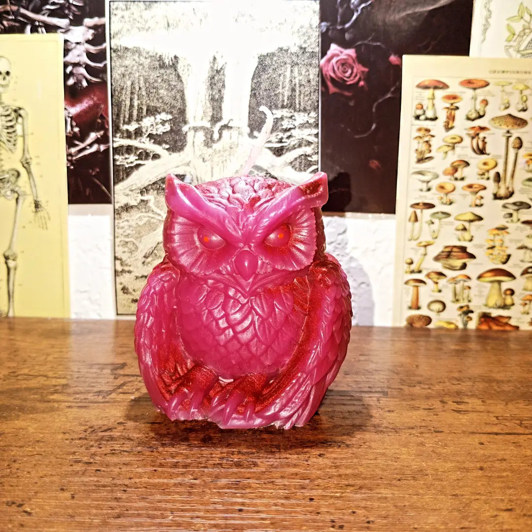 owl candles