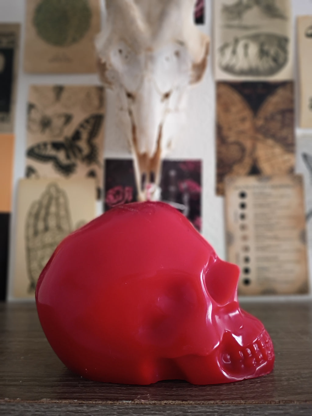 Big skull candles