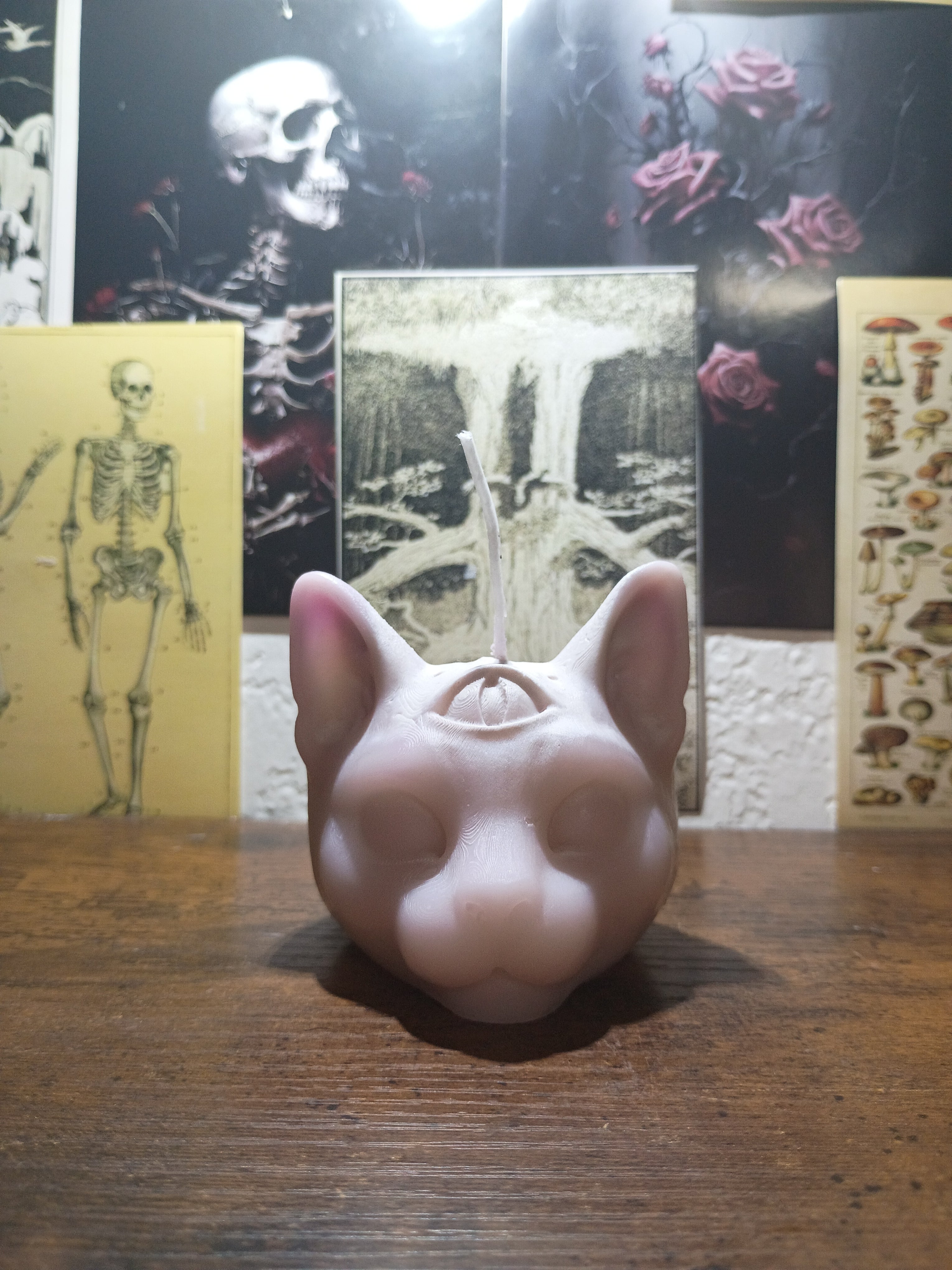 cat head with third eye