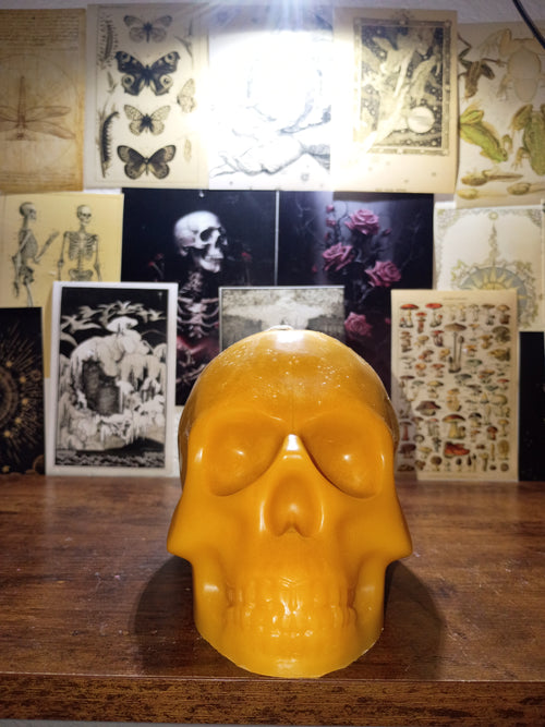 Big skull candles
