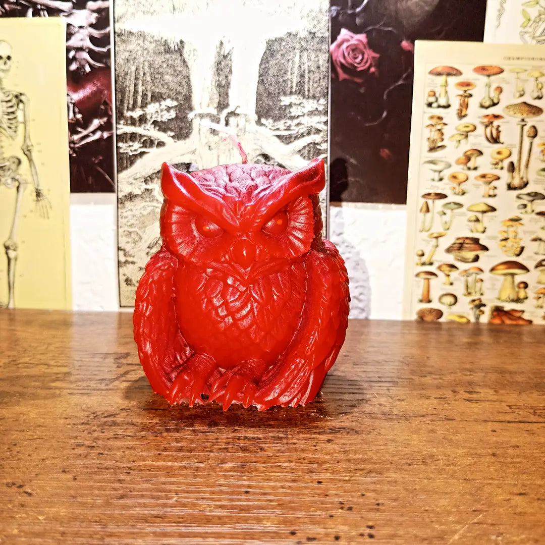 owl candles