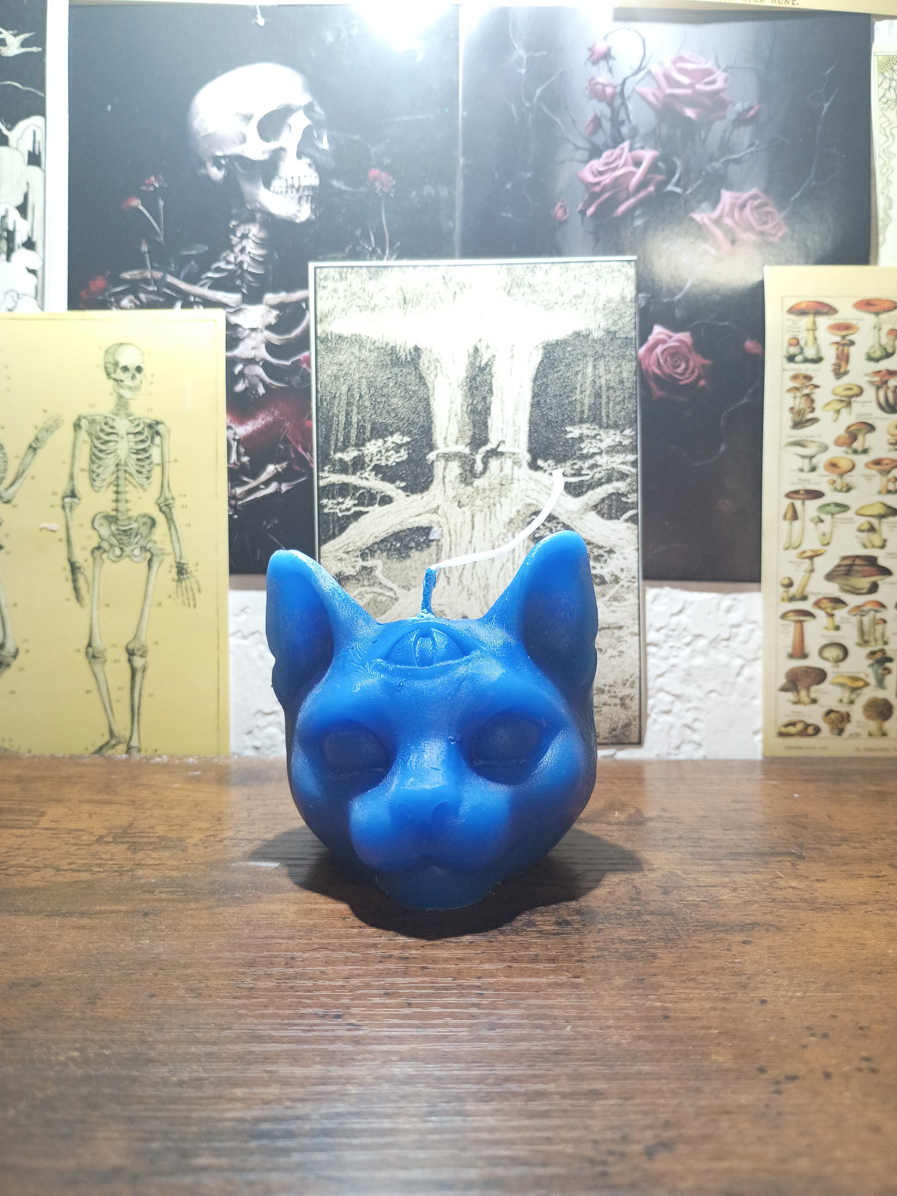 cat head with third eye