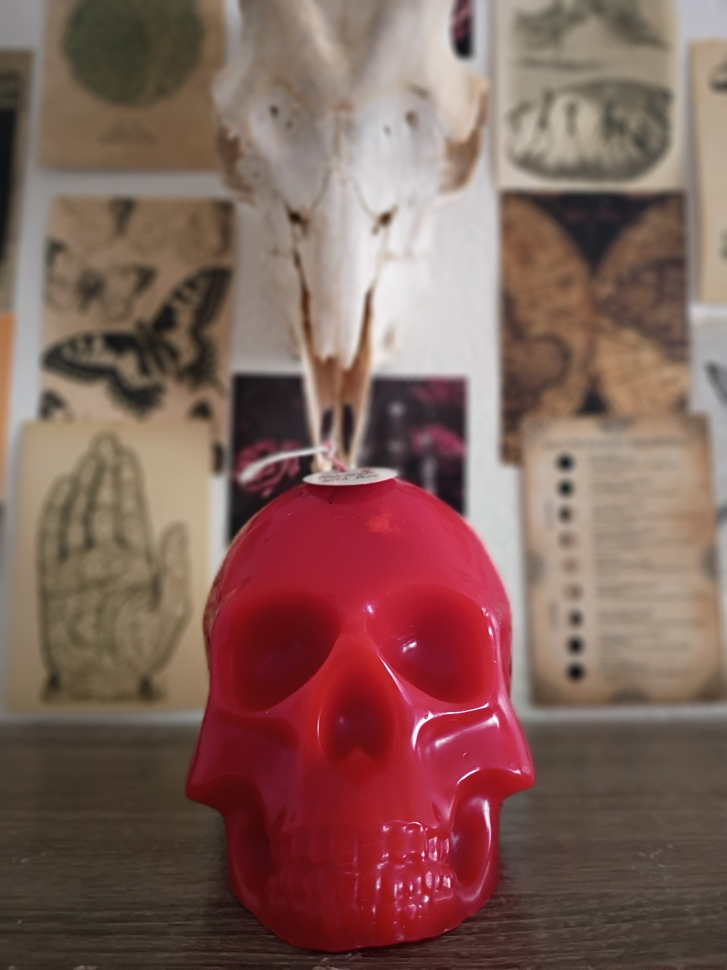 Big skull candles