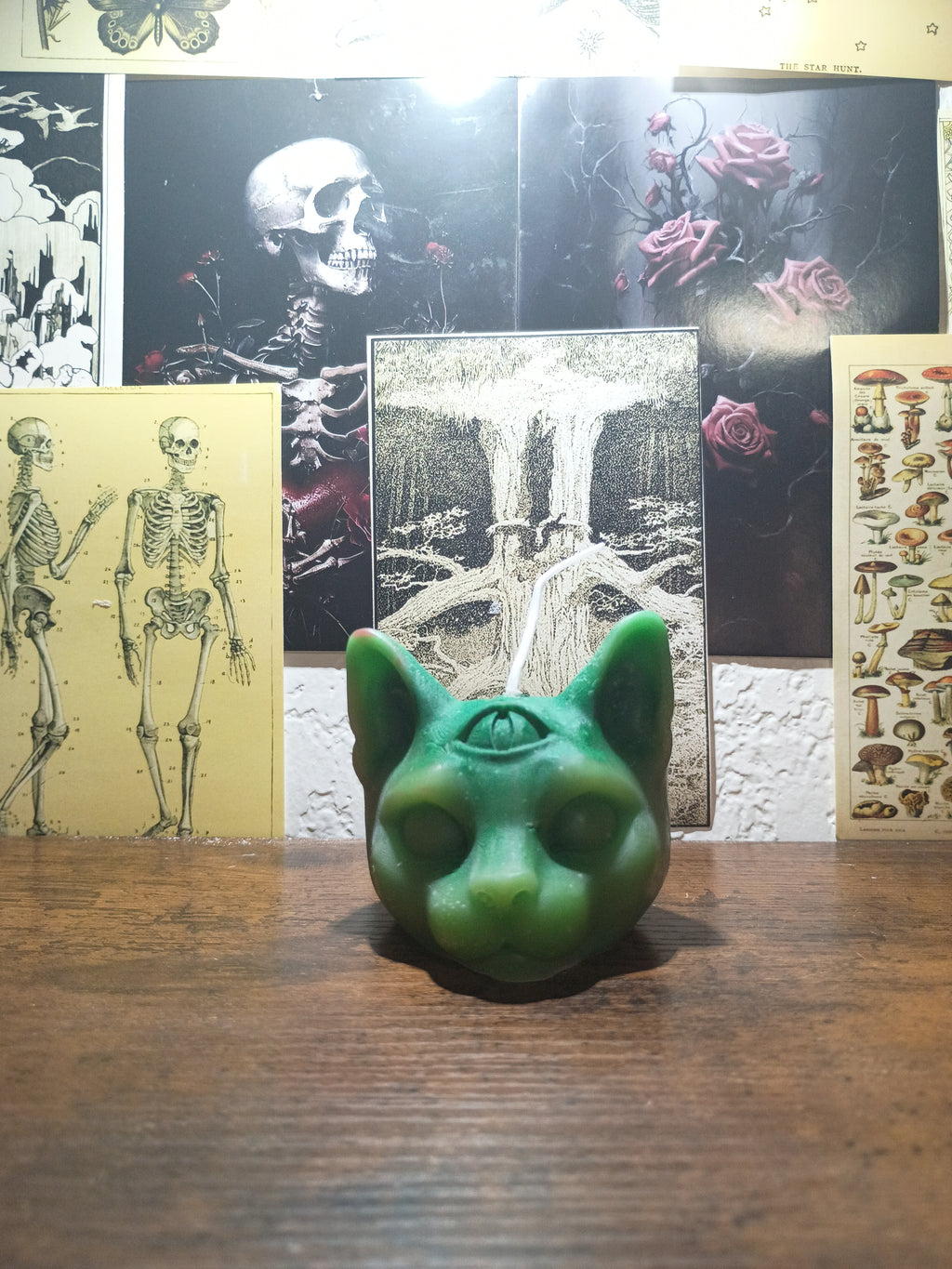 cat head with third eye