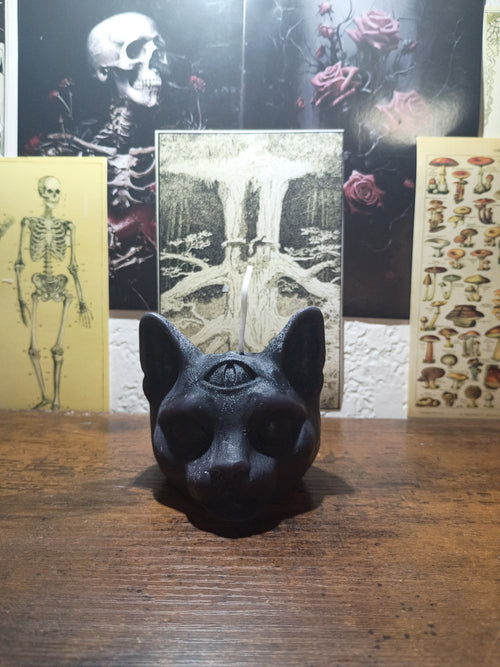 cat head with third eye