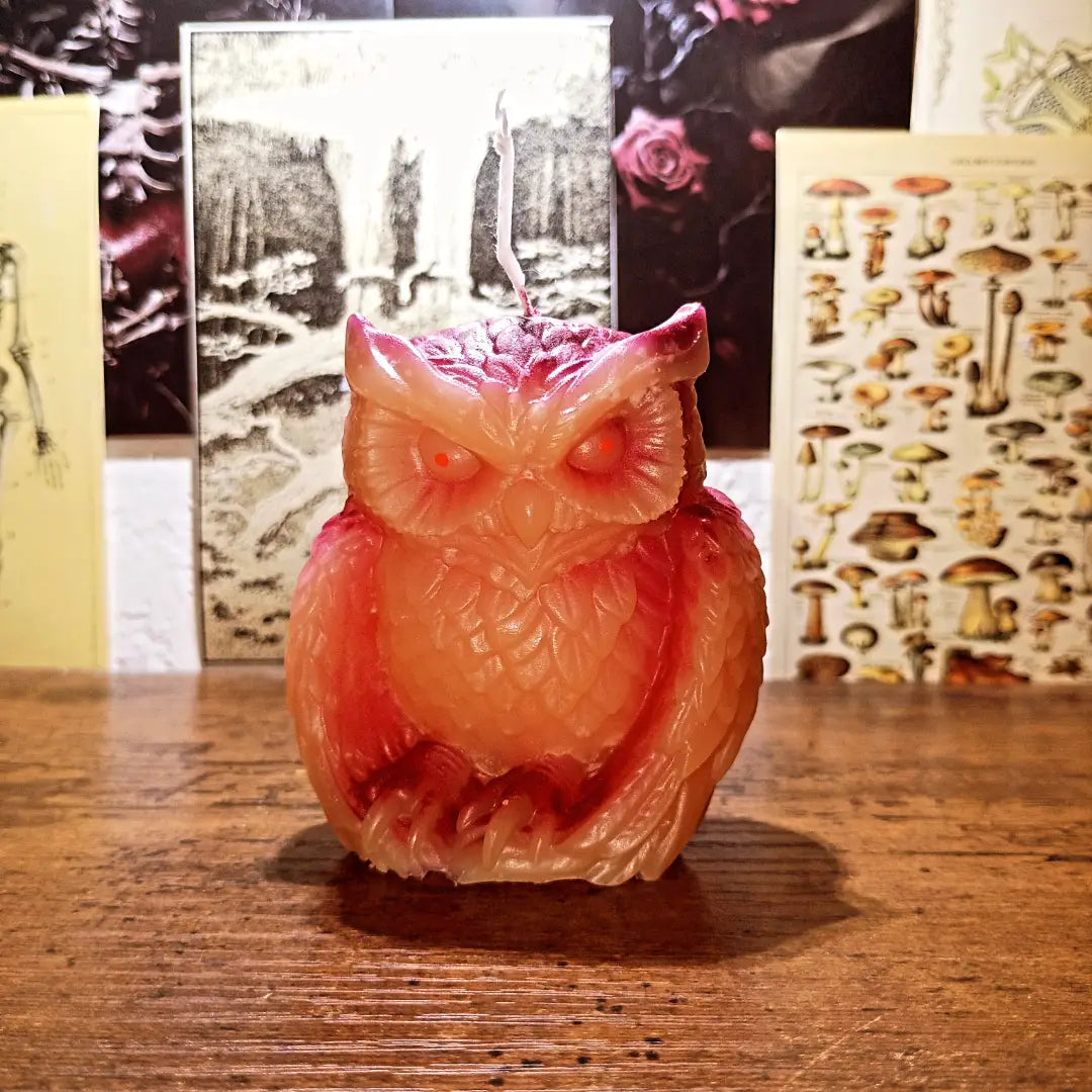 owl candles