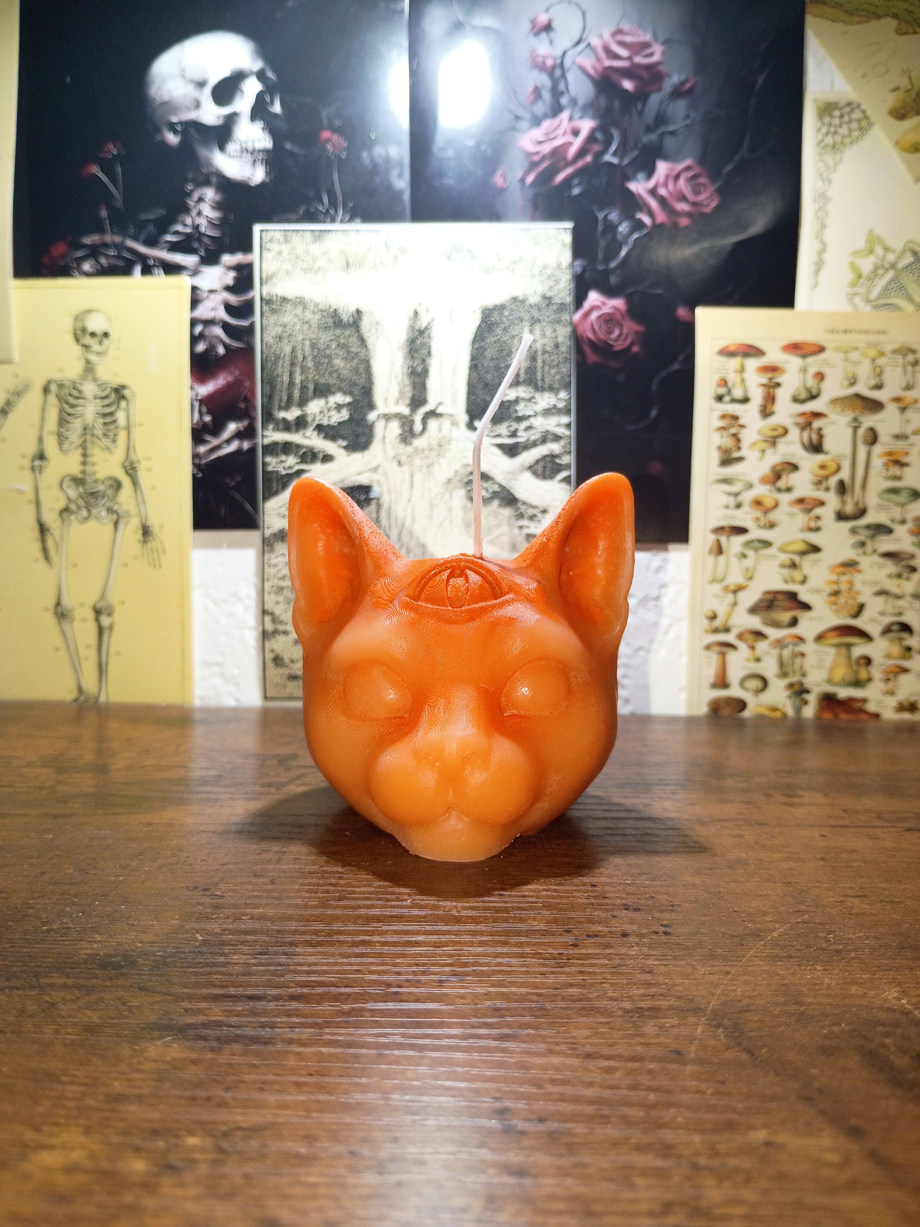 cat head with third eye