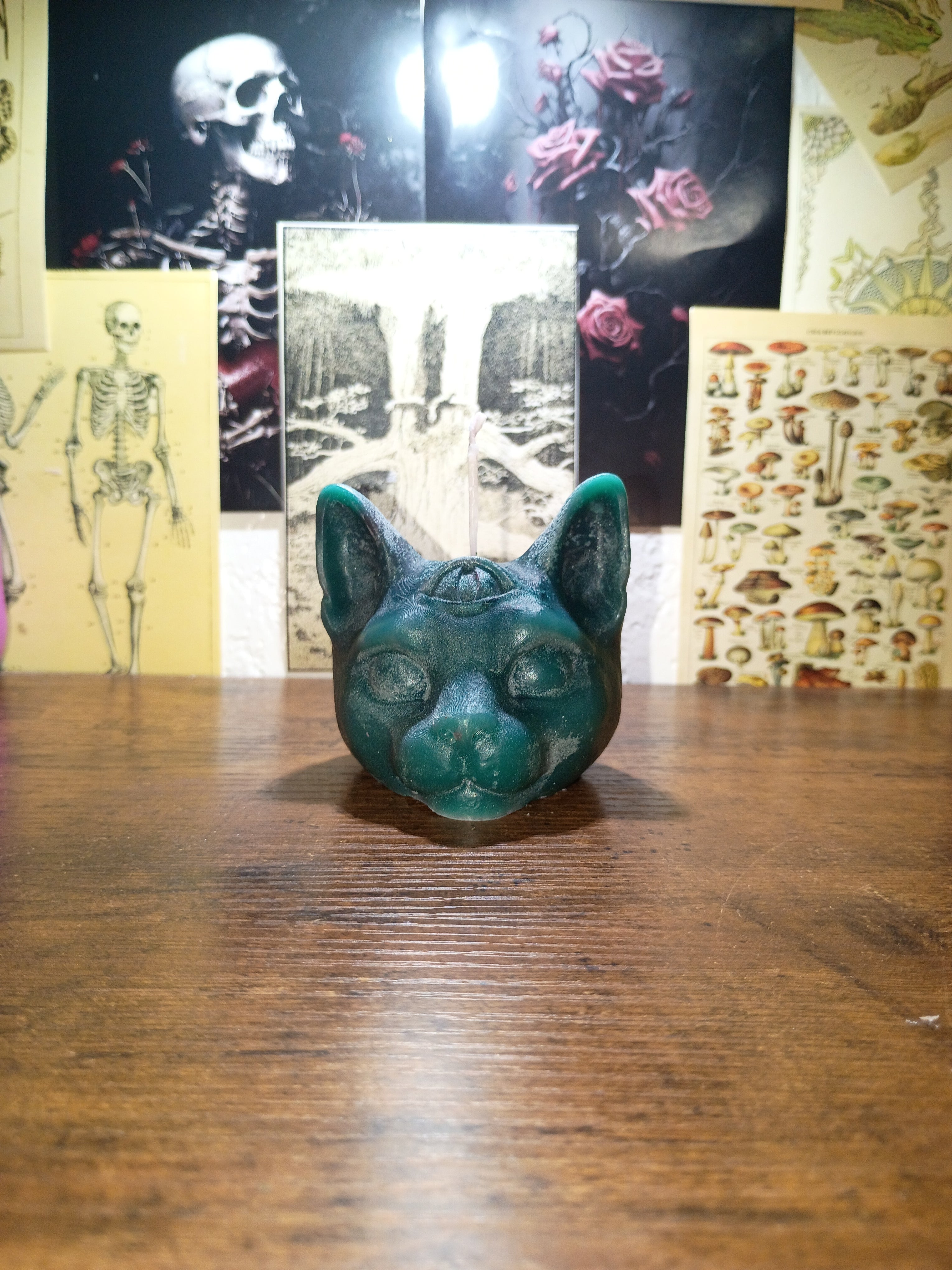 cat head with third eye