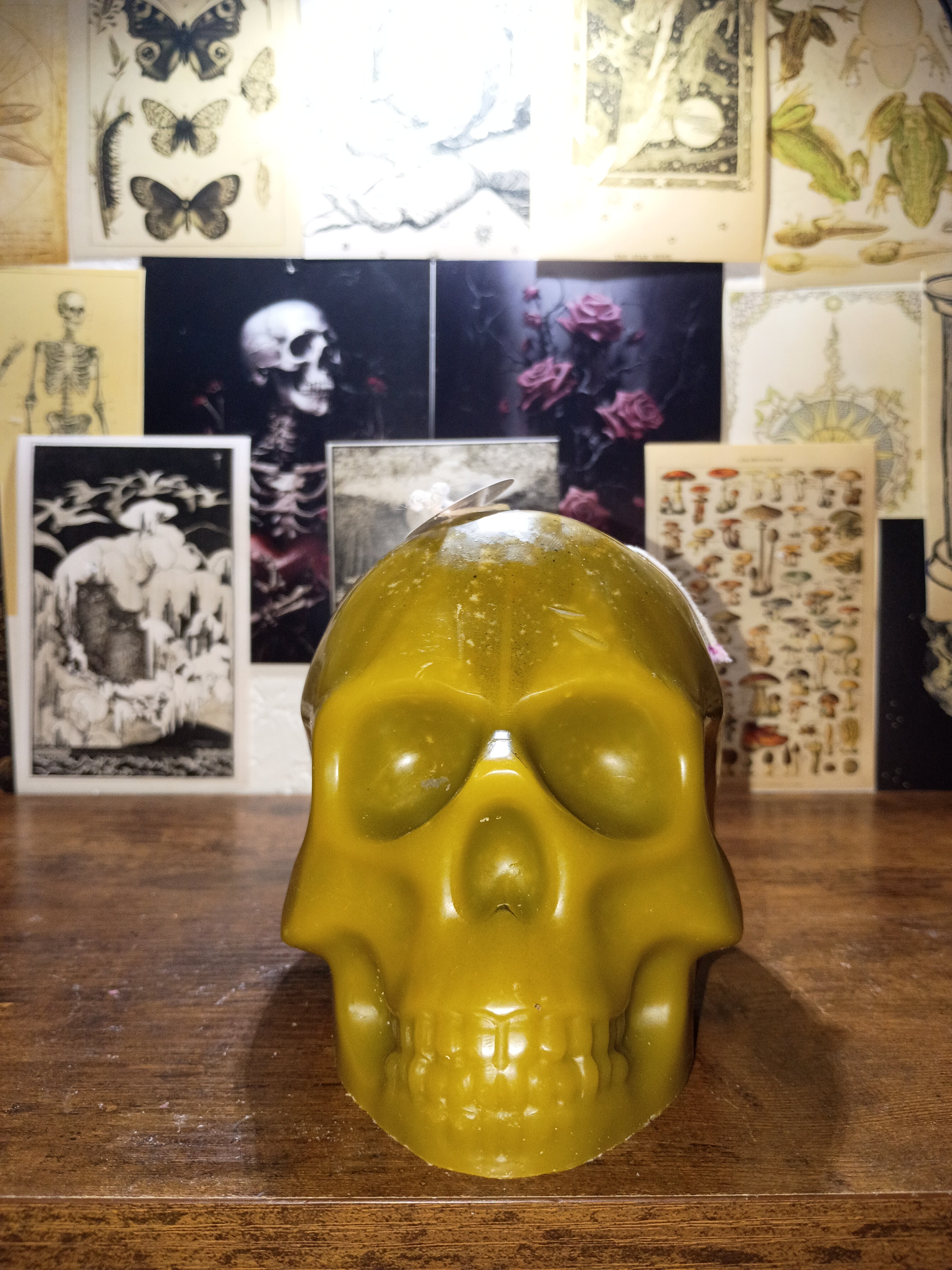 Big skull candles