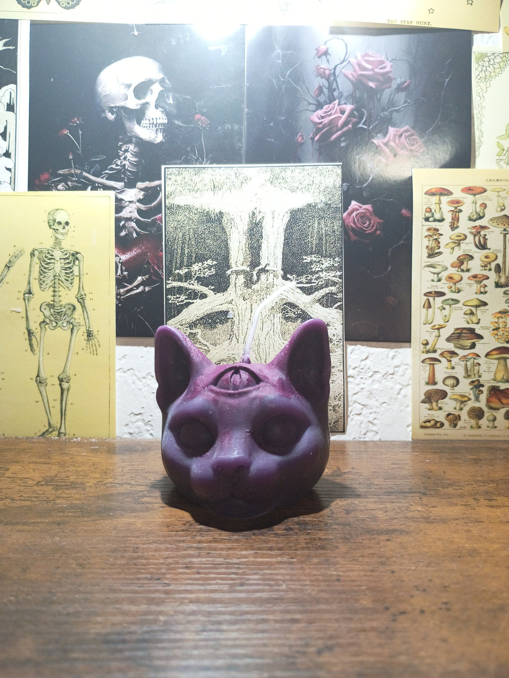 cat head with third eye
