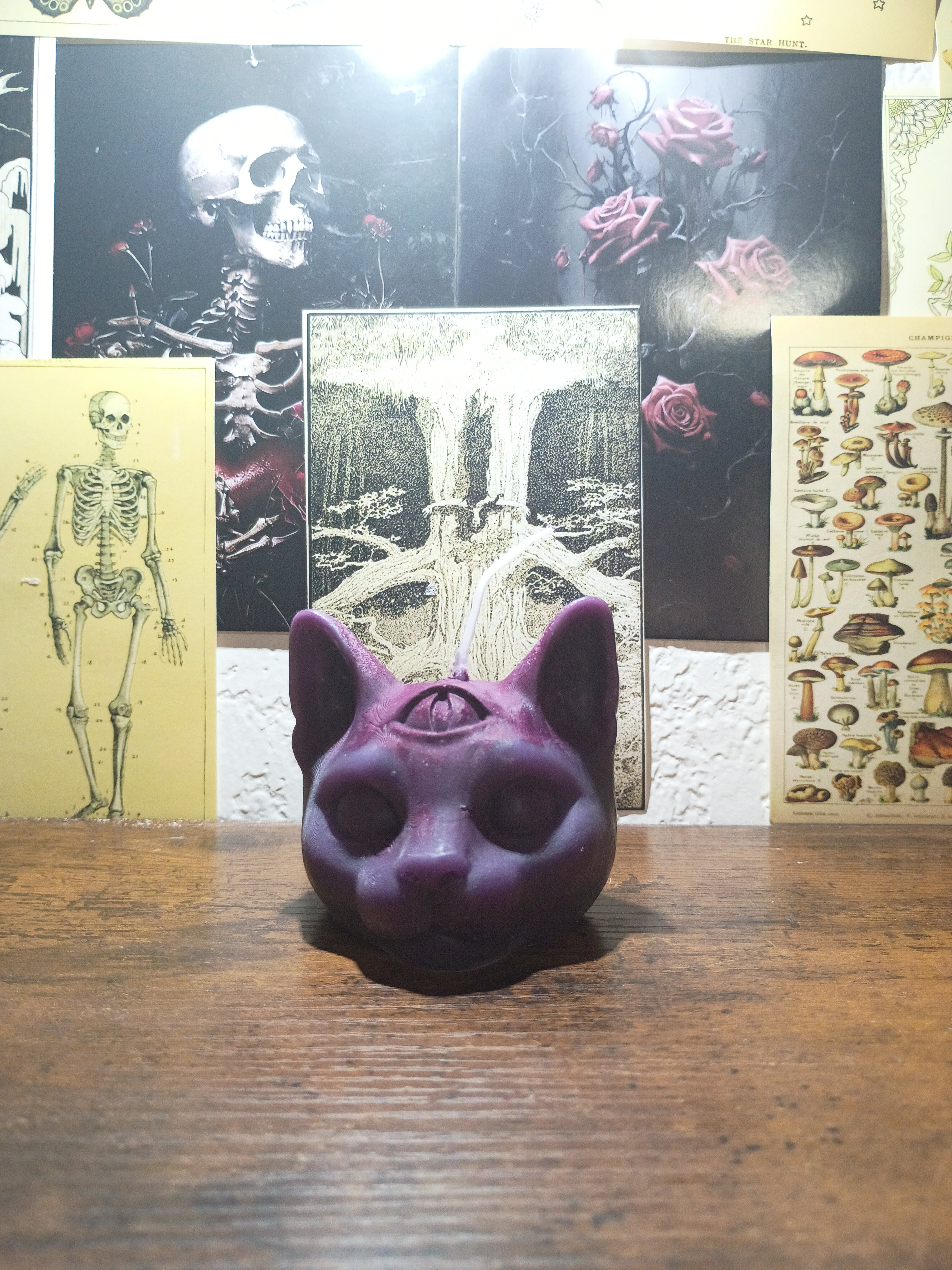 cat head with third eye