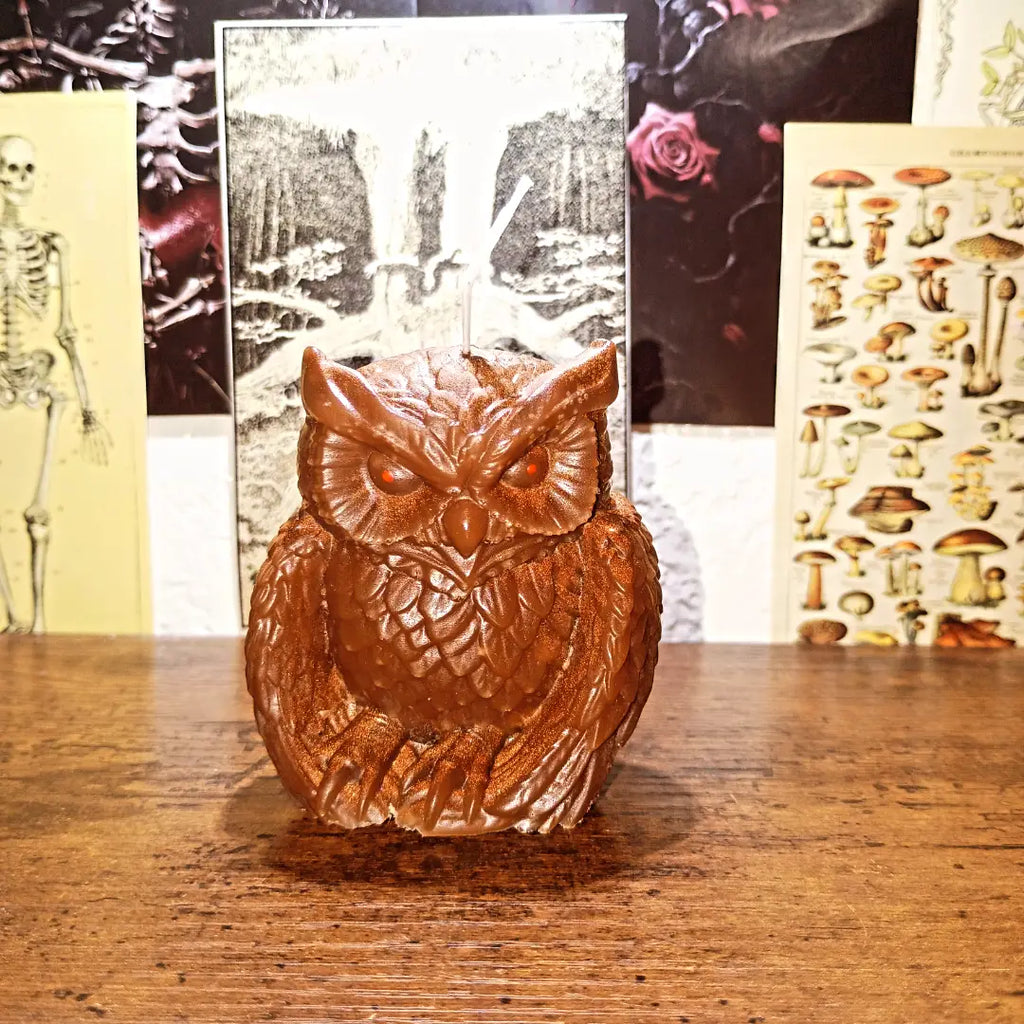 owl candles