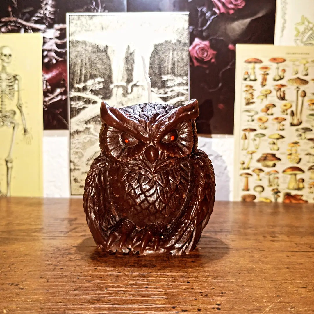 owl candles