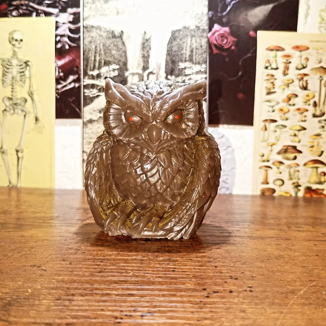 owl candles