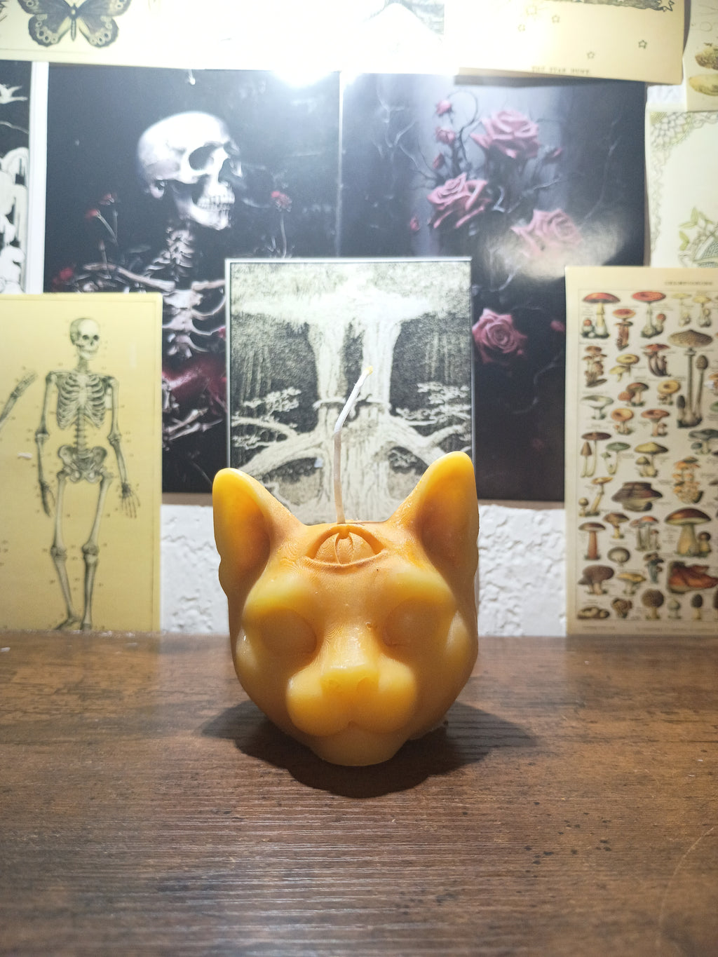 cat head with third eye