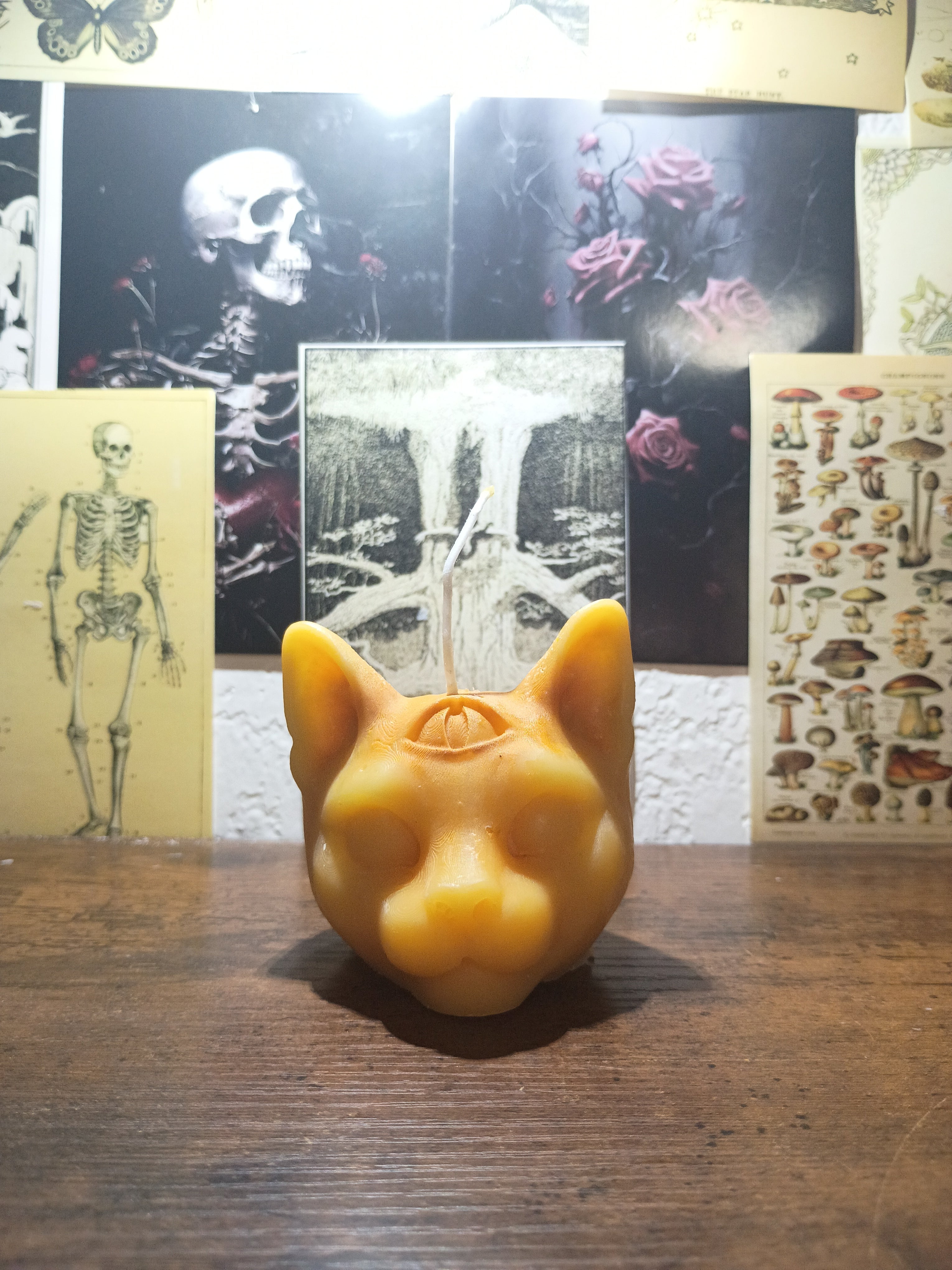 cat head with third eye