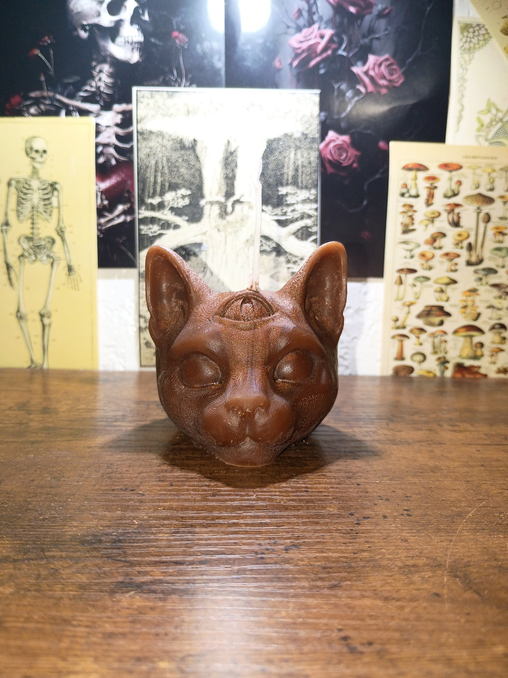 cat head with third eye
