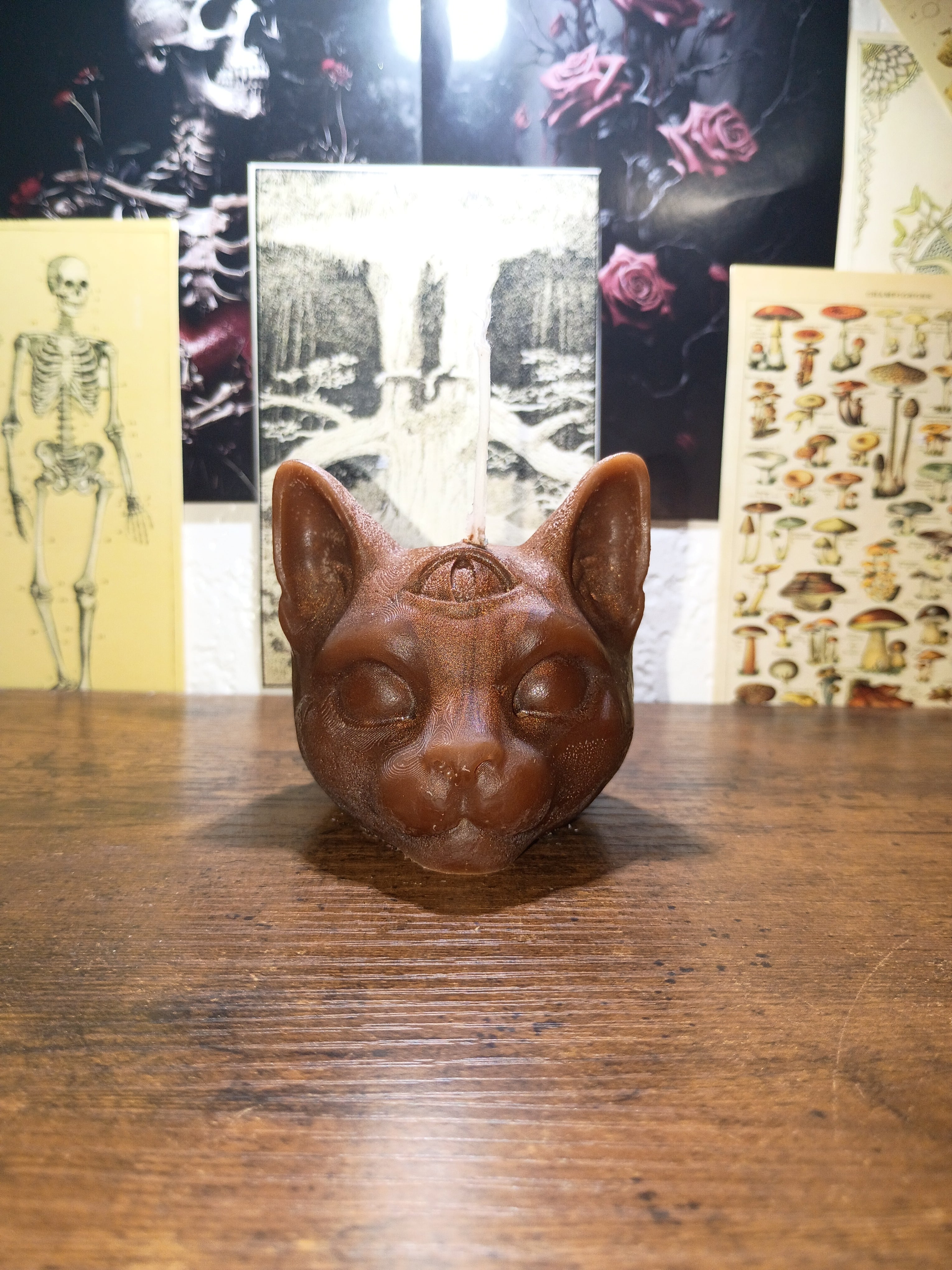 cat head with third eye
